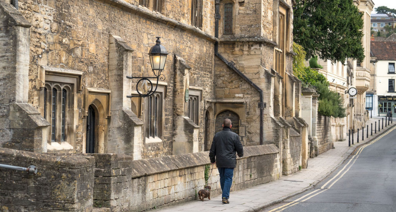 Dog Walking in Bradford on Avon